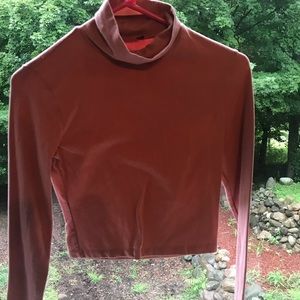 Long Sleeve Mauve Crop Top!